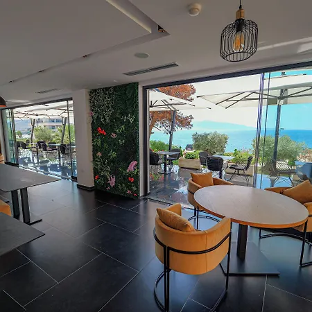Dorchester Saranda
